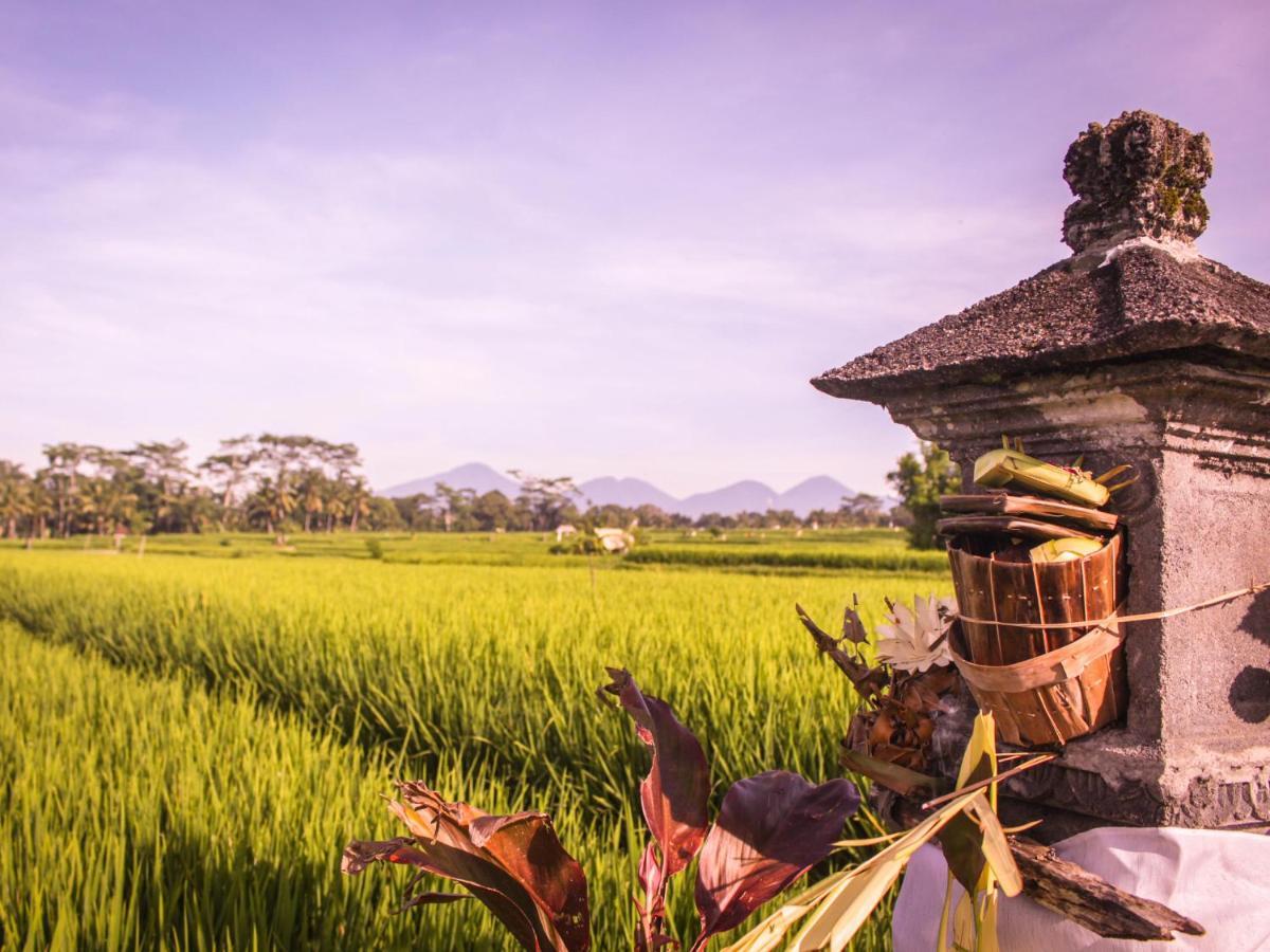 Keliki Luxury 5* Ubud