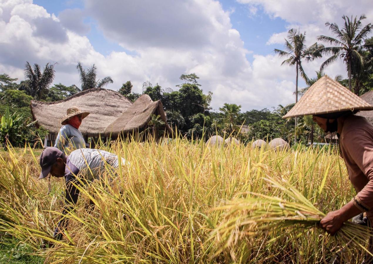 Keliki Luxury Hotel Ubud