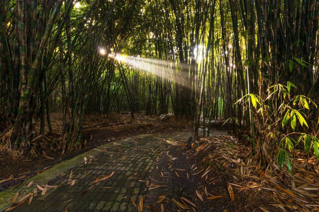 Keliki Luxury Ubud